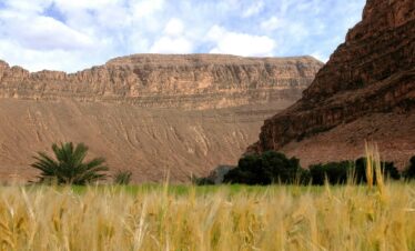 3 Days Fes To Marrakech Desert Tour