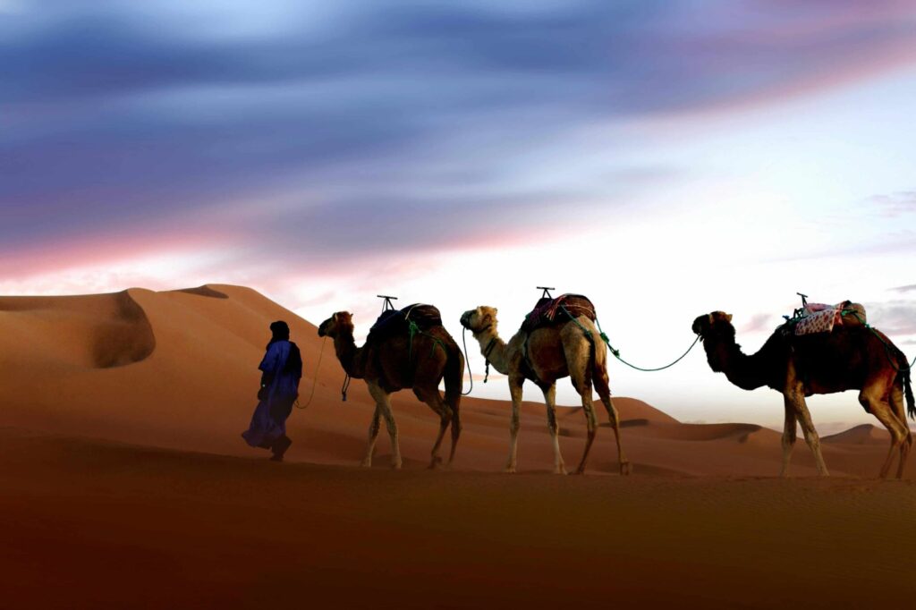 3 Days Marrakech Desert Tour
