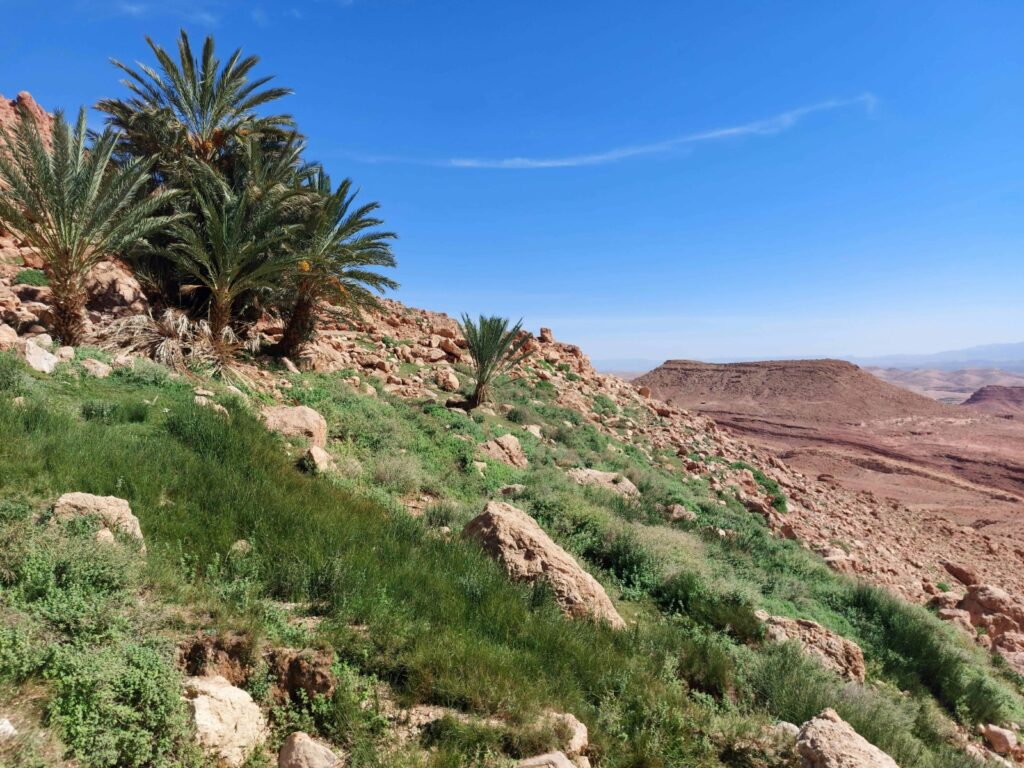 3 Days Marrakech To Fes Desert Tour