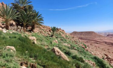 3 Days Marrakech To Fes Desert Tour