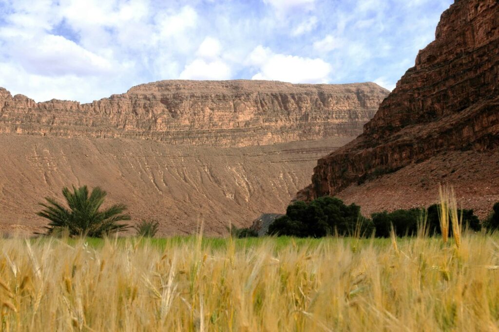 4 Days Fes To Marrakech Desert Tour
