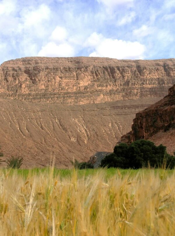 4 Days Fes To Marrakech Desert Tour