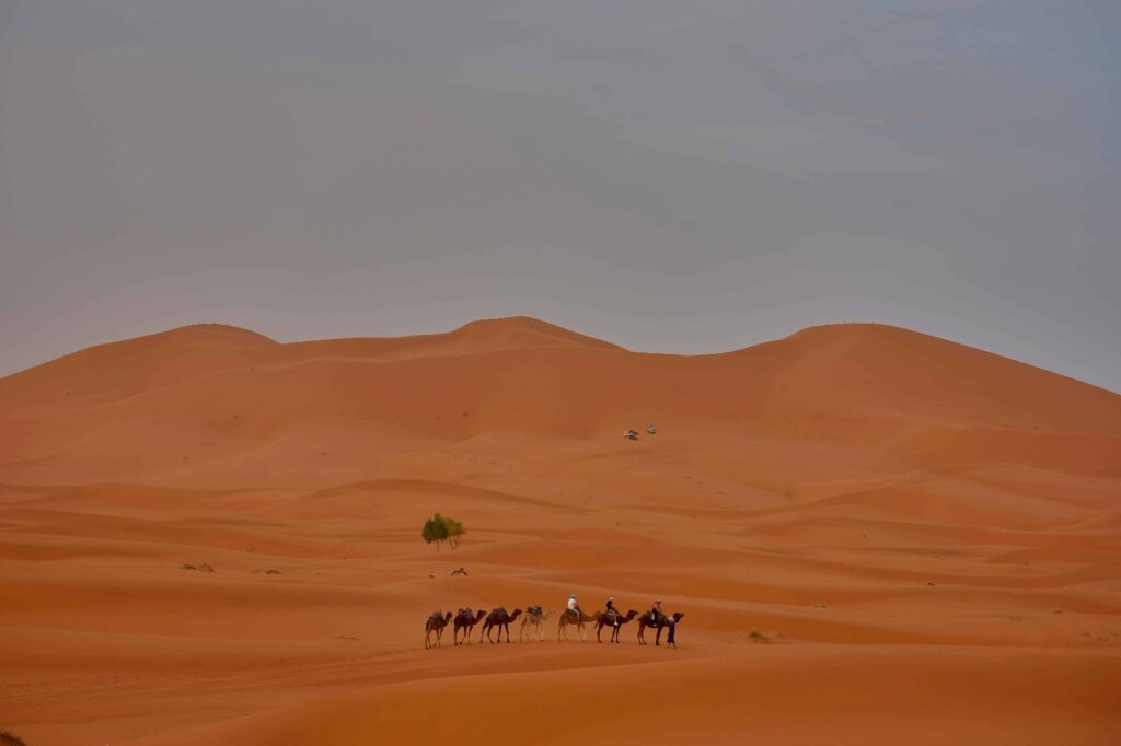 4 Days Fes To Marrakech Desert Tour