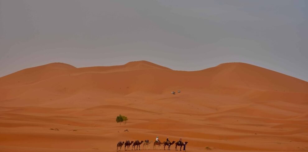4 Days Fes To Marrakech Desert Tour