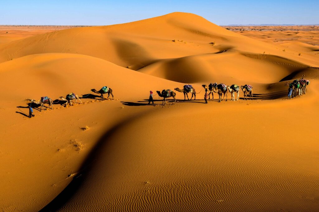 6 Days Marrakech Desert Tour