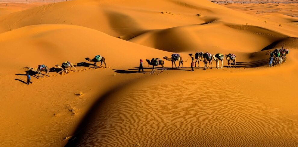6 Days Marrakech Desert Tour