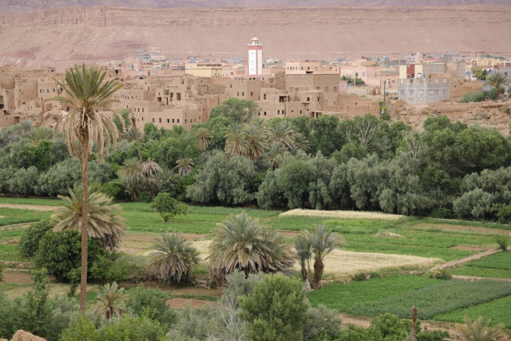 7 Days Morocco Itinerary From Fes