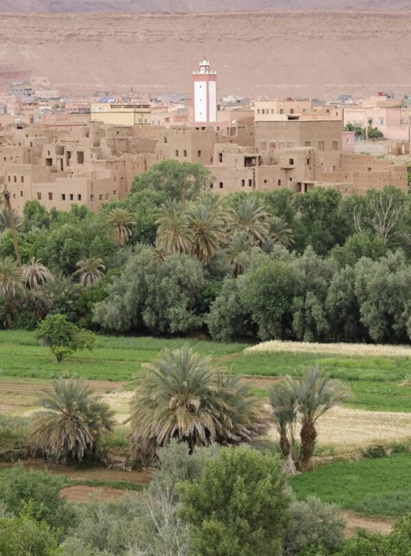 7 Days Morocco Itinerary From Fes