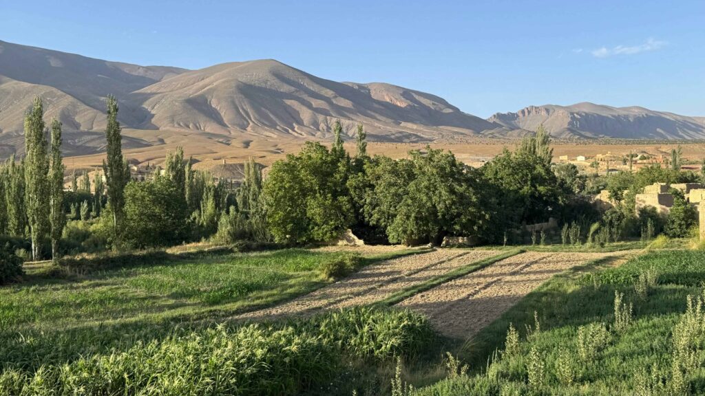 Morocco Itinerary 8 days From Fes