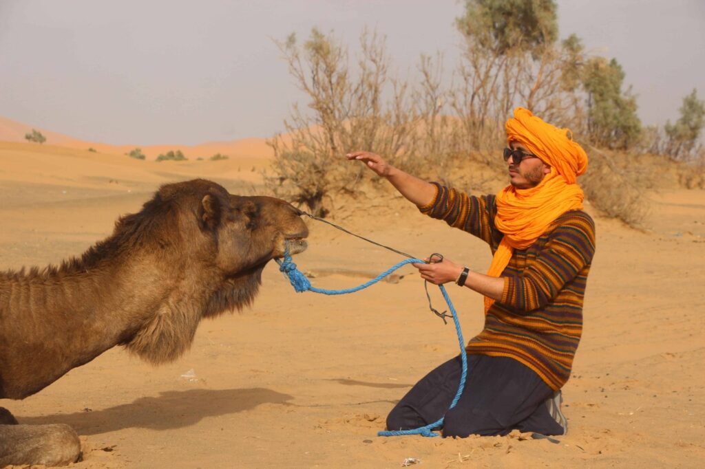 Morocco Itinerary 8 days From Fes