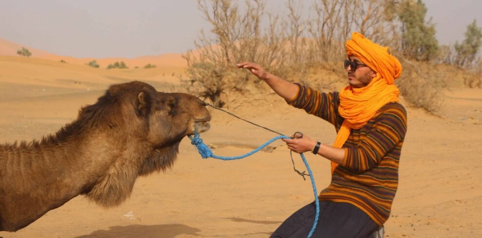 Morocco Itinerary 8 days From Fes
