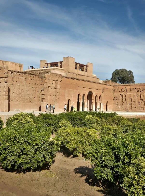 7 Days Marrakech Tour to Tangier