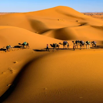 7 Days Marrakech Tour to Tangier