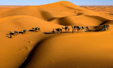 7 Days Marrakech Tour to Tangier