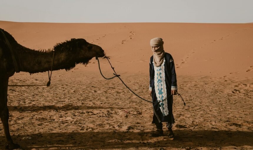 How to Get Around Morocco: Your Complete Travel Guide 2026