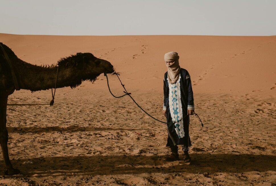 How to Get Around Morocco